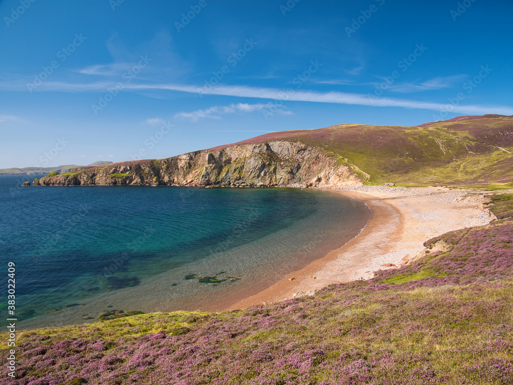 With the headland of Burki Taing in the distance, the sandy beach at Muckle Ayre on the south coast of Muckle Roe,  Shetland, Scotland, UK - taken on a calm, clear day with a blue sky