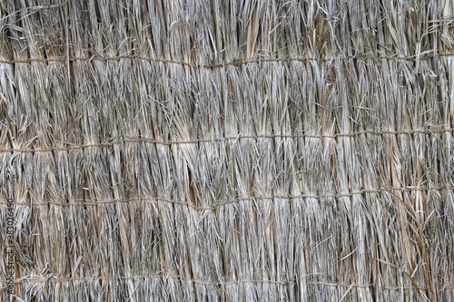 Texture background wall dry palm leaves or straw.