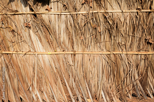 Building or fence wall dry palm leaves, reed, bamboo or straw.