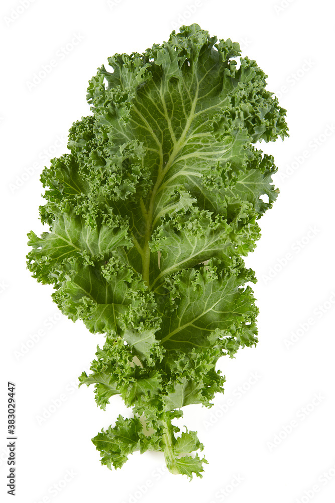 Fototapeta premium fresh kale isolated on white background