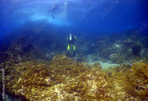 underwater scuba diver caribbean sea Venezuela