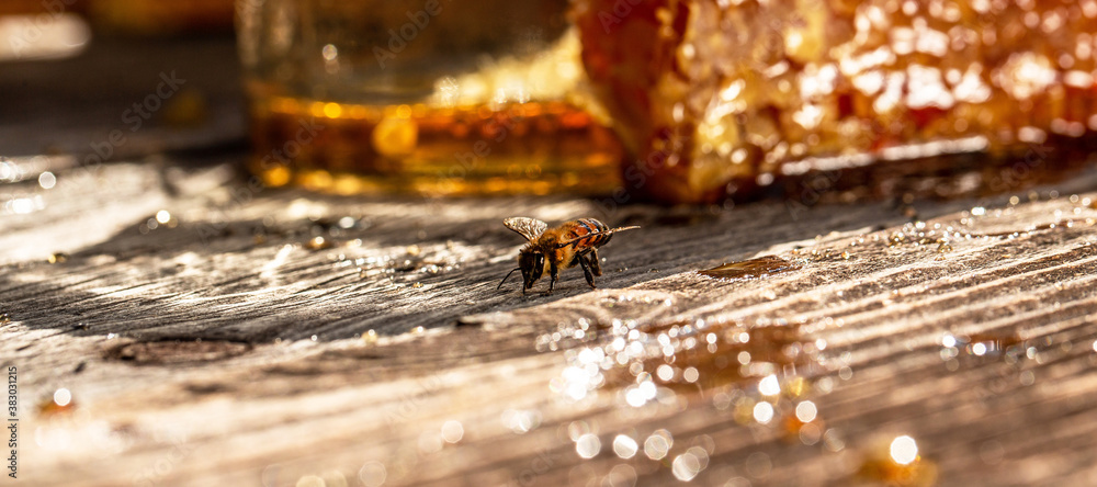 Sweet honeycomb, bee products by organic natural ingredients. Honey, Honeycomb, Honey Bee. Beekeeping concept. Long banner format