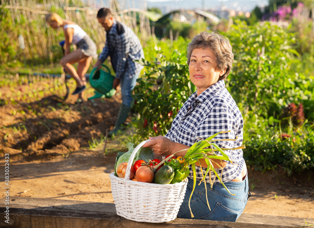 Obraz premium Mature woman posing with harvest of vegetables in garden