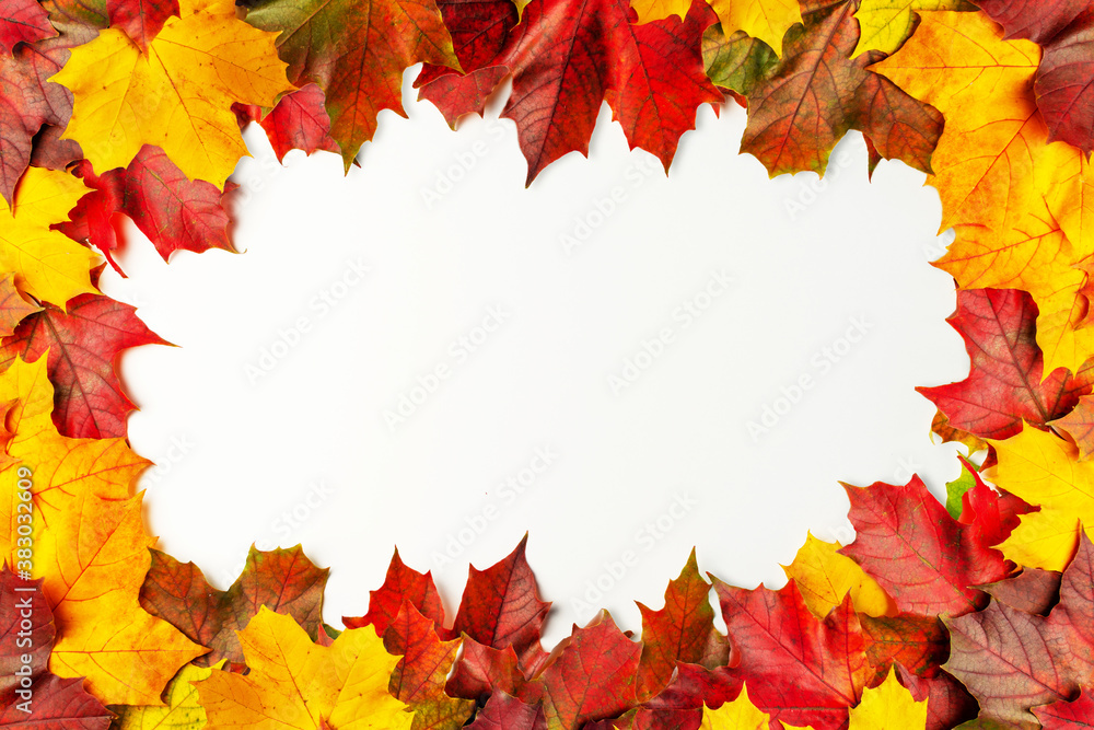 Autumn maple leaves on a white background. Frame for text. Flat lay, top view, copyspace Autumn maple leaves on a white background. Frame for text. Flat lay, top view, copyspace