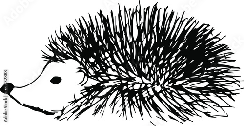 Drawing of a hedgehog with needles. Sketch.