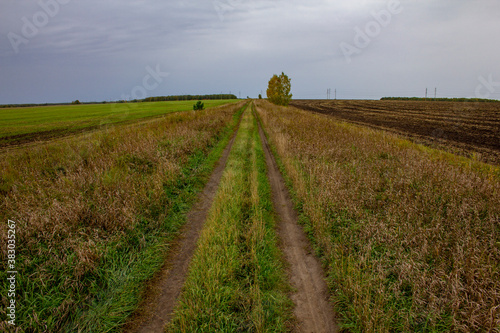 The road separating the fields. A dirt road - a track, leads through autumn fields, trees and pillars are visible in the distance.