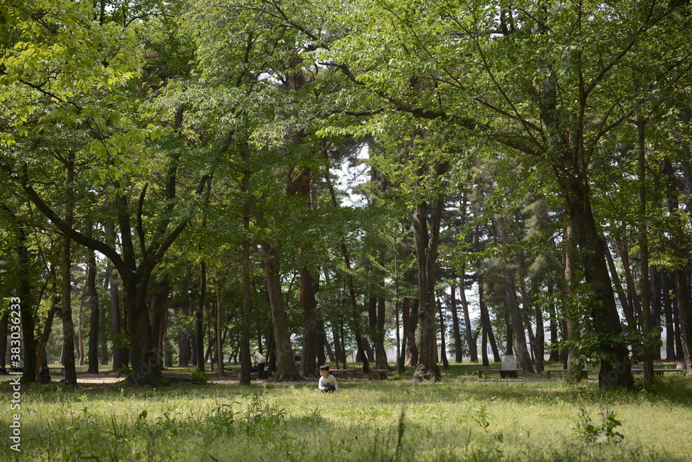 Φωτογραφία Gangneung park scenery, South Korea강릉의 공원 풍경, 한국