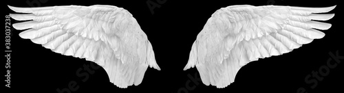 Fototapeta Naklejka Na Ścianę i Meble -  White wings on a black background, easy to use material