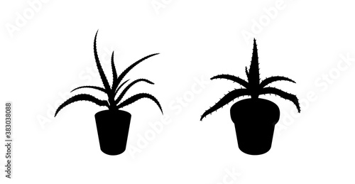 Cactus - aloe - succulent in flowerpot black silhouette