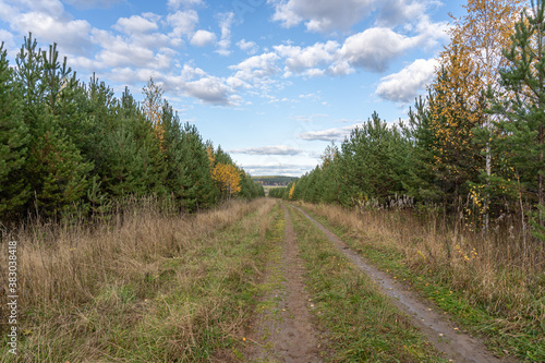 Rural earth dirt road surrounded by picturesque tranquil autumn forest going to bright sunny cloudy blue sky at countryside. Horizontal orientation image