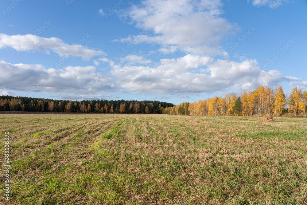 Picturesque autumn season landscape showing agricultural field with yellow trees and blue sunny cloudy sky at farm village. Horizontal orientation with copy space