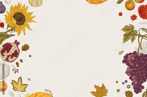 Happy Autumn. Harvest. Autumn horizontal card. Vector vintage illustration. Colorful