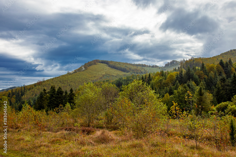Autumn in the Carpathian mountains. Autumn day in the Carpathians, cloudy sky, colorful forest on the slopes of the mountains. Colorful mountain landscape at morning in autumn season. 