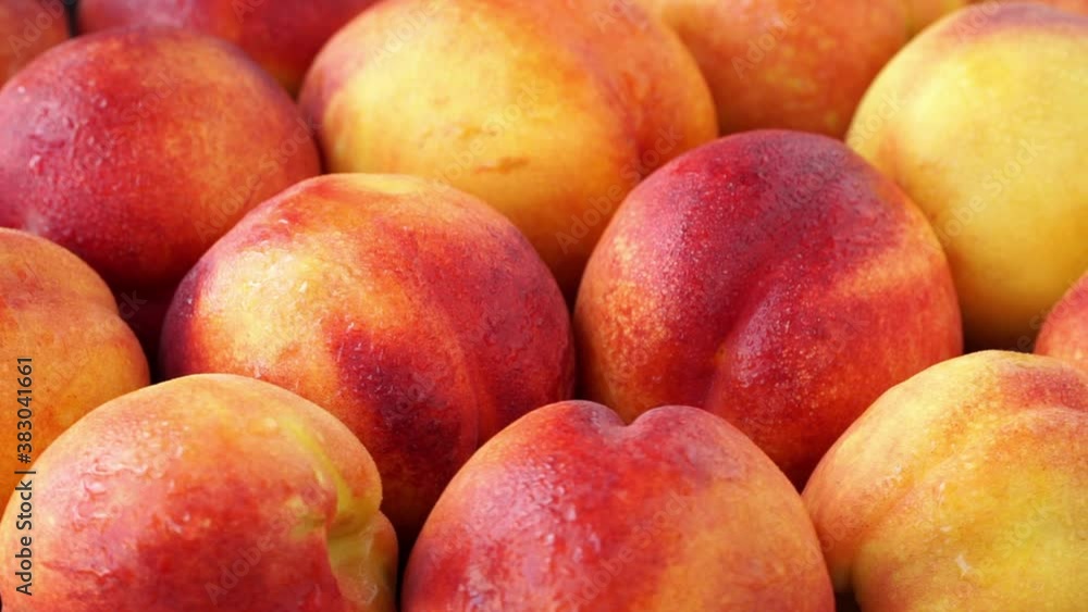 Side view of fresh ripe orange red peaches with water drops rotate on tray. Harvest time. Healthy and organic fruits concept. Vegan Food background Side view of fresh ripe orange red peaches with water drops rotate on tray. Harvest time. Healthy and organic fruits concept. Vegan Food background