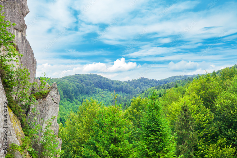 High cliffs in green forest by blue sky in in Eastern Beskids national nature park, Ukraine