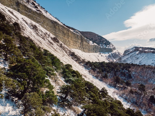 Canyon with snow and evergreen trees in winter. Aerial view of canyon with sunlight