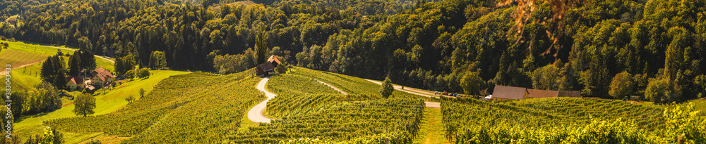 Panorama of heart shaped road in Slovenia near border with Austria. Panorama of heart shaped road in Slovenia near border with Austria.