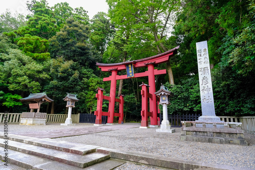 彌彦神社 一の鳥居