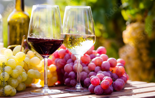 glasses of red and white wine and ripe grapes on table in vineyard