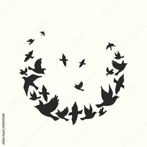 Silhouettes of a flock of birds. Vector illustration. Simple background.