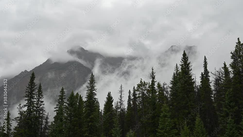 Time lapse of white and grey fog swirling behind a line of spruce trees with a large mountain in the background.
Time lapse of white and grey fog swirling behind a line of spruce trees with a large mountain in the background.