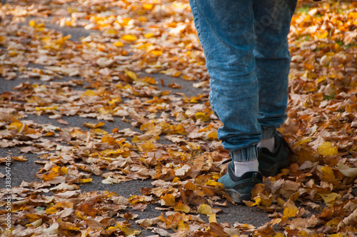 Legs of women walking in the autumn park © Макс Авдеев