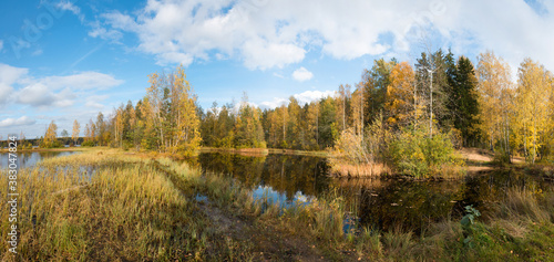 Panoramic landscape of a forest lake with a bright grove of trees with golden autumn foliage on the distant shore on a bright autumn day.