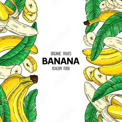 Vector hand drawn fruit frame with banana
