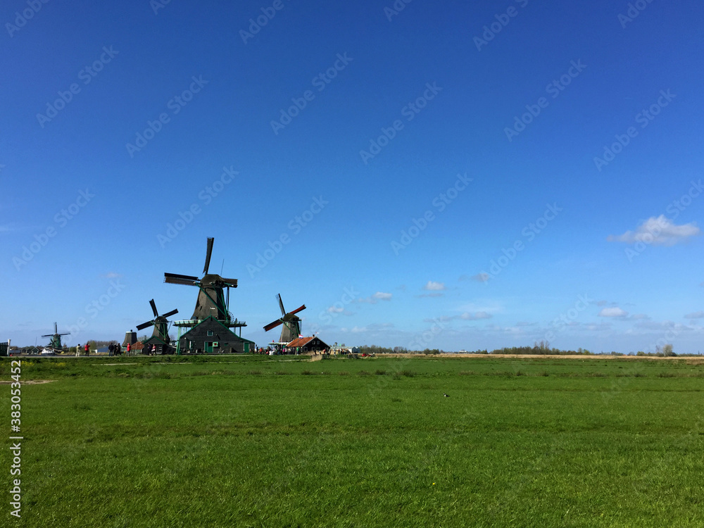 Fototapeta premium dutch historic windmills on meadow at blue sky, in Zaanse Schans, North Holland, Netherlands