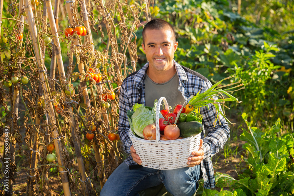 Fototapeta premium Young positive man posing with harvest of vegetables in garden, harvesting season