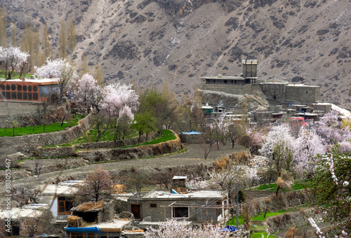 altit fort in spring eason,  Altit Fort is an ancient fort at Altit town in the Hunza valley in Gilgit Baltistan, Pakistan. It was originally home to the hereditary rulers of the Hunza state photo