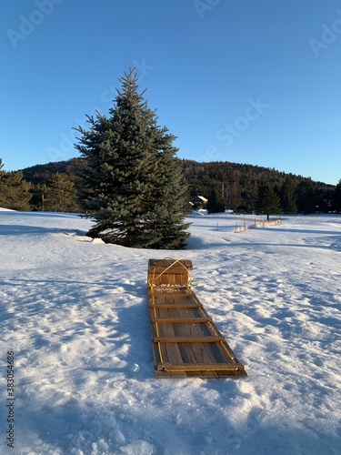 Typical wooden luge sledge in a snowy lake forest in Laurentides, Quebec, Canada.