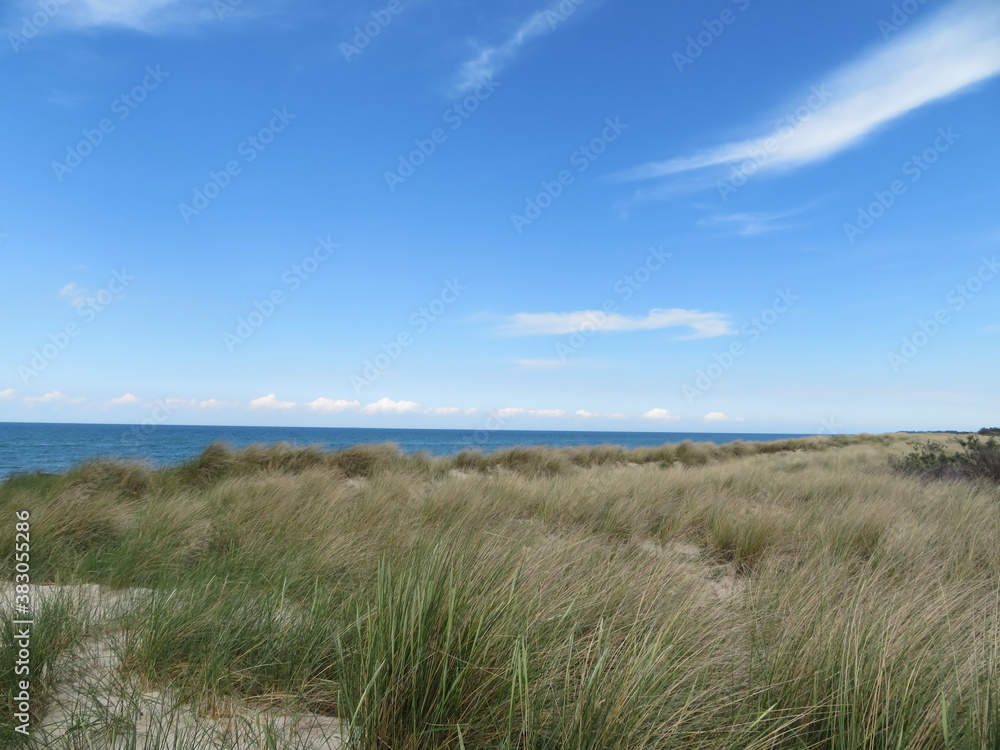 sand dunes and grass at baltic sea sand dunes and grass at baltic sea