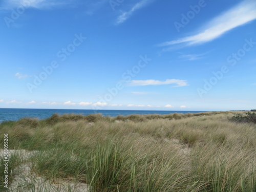 sand dunes and grass at baltic sea