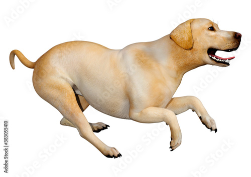 3D Rendering Labrador Dog on White