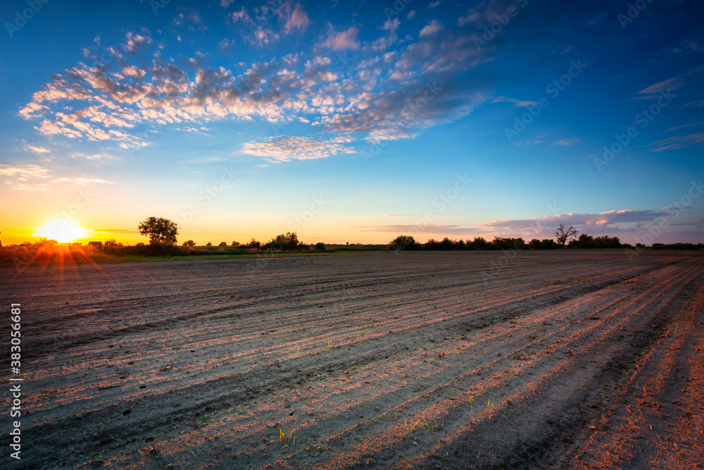 Fototapeta premium Beautiful landscape of a plowed field at sunset. Poland