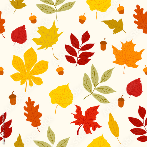 Colorfull autumn leaves seamless pattern. Vector EPS10
