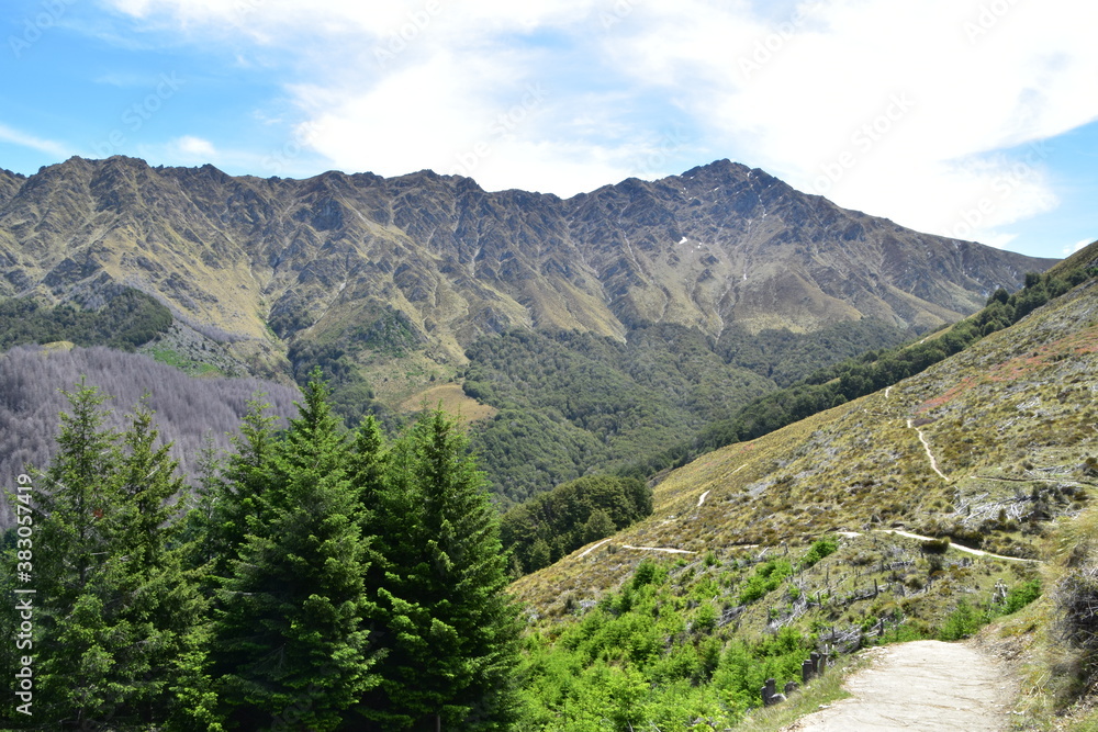 Naklejka premium The view of mountains in Queenstown, New Zealand