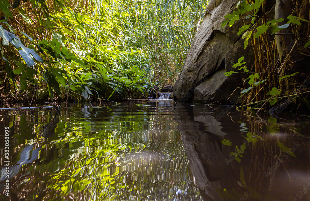 The shallow mountain Jalaboun stream with crystal clear water and shores overgrown with trees and grass, flows in the Golan Heights in northern Israel The shallow mountain Jalaboun stream with crystal clear water and shores overgrown with trees and grass, flows in the Golan Heights in northern Israel