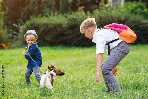 Kids with jack russel terrier dog outdoors. Happy boys playing with dog on green grass. © volurol