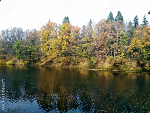 river near the autumn forest
