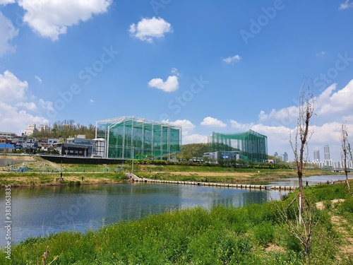 river and bridge