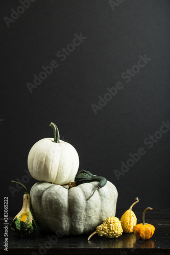 Pumpkins and gourds on a black table with black background
 photo