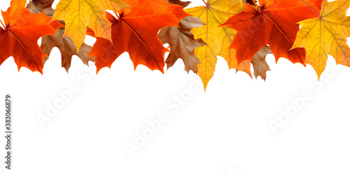 Beautiful brightly coloured Autumn frame on white background