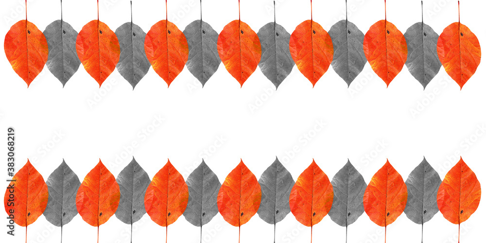 Fototapeta premium pattern with autumn red, orange and yellow leaves isolated on white background