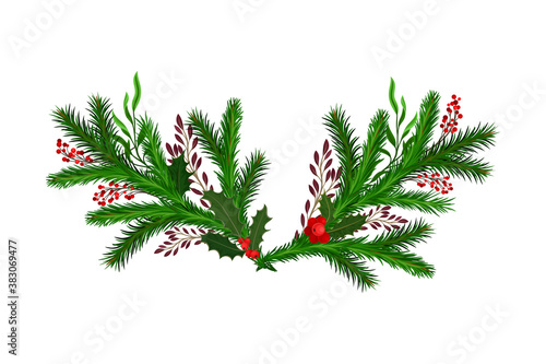 Bright Coniferous Tree Branch and Holly Berry Arranged in Semicircular Vector Composition