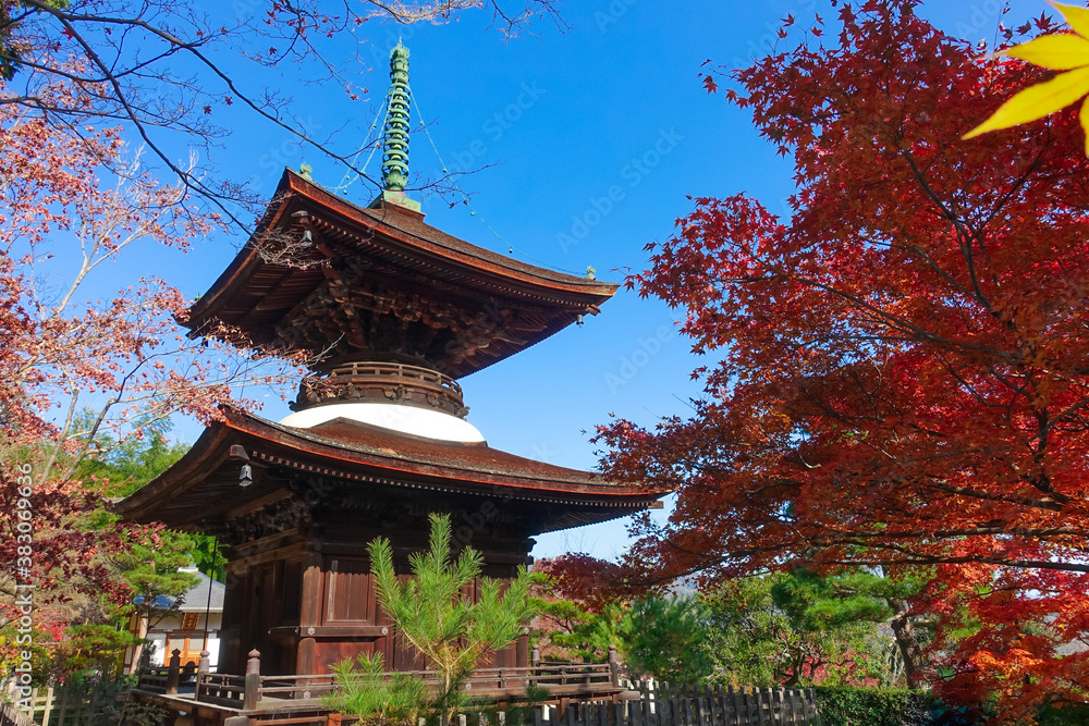 紅葉に染まった京都・嵯峨野の常寂光寺(多宝塔) 紅葉に染まった京都・嵯峨野の常寂光寺(多宝塔)