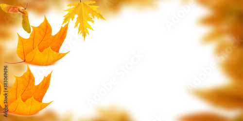 Beautiful brightly coloured Autumn frame on white background