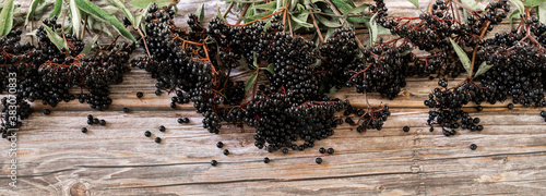 European black elderberry on a wooden background. (Sambucus nigra). 