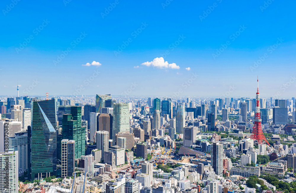 Obraz premium 東京タワーと高層ビル群